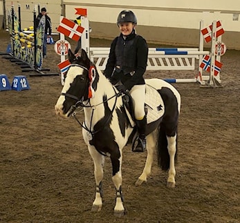 D-stevne Sandnes og Jæren Rideklubb 27.-28. januar 2018